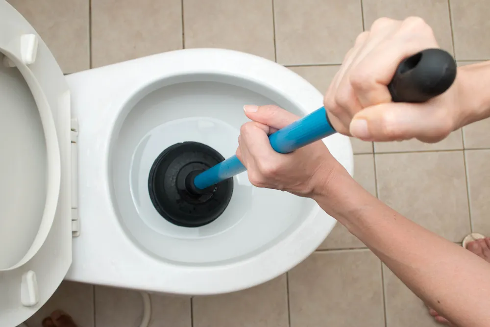 Reasons Your Toilet Won't Flush