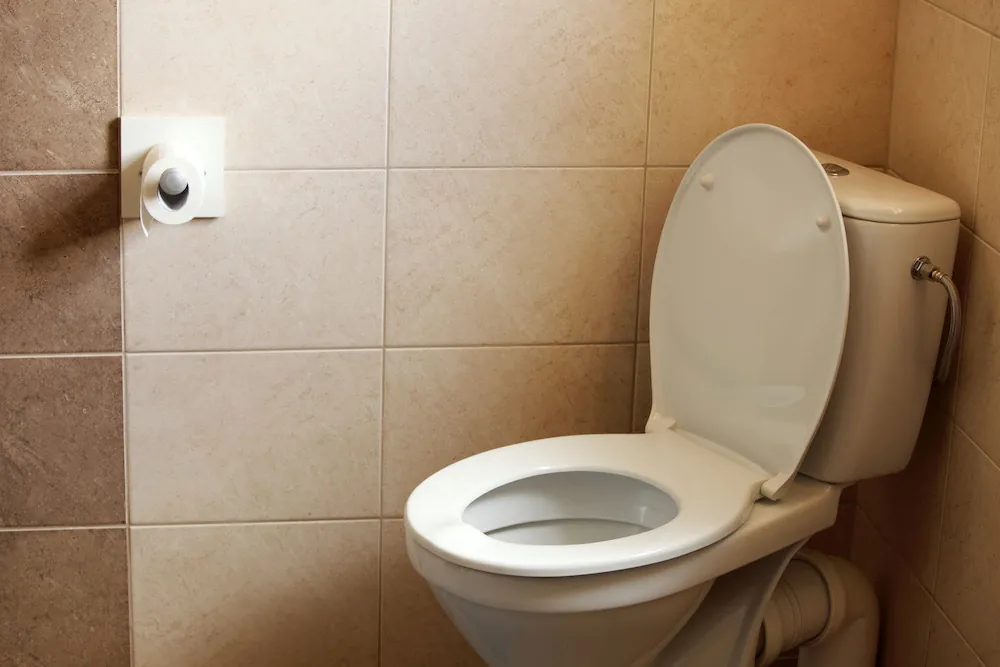 Replace your Toilet